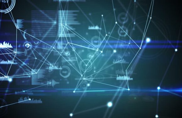 Basic rules of taking your business digital